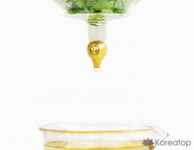 Isandree Mugwort Успокаивающая ампула, 50 мл, 1 шт.