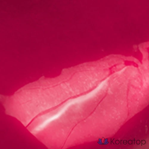 Rom&nd The Juicy Lasting Tint, 16 Plum Coke, 1 шт., фото 6