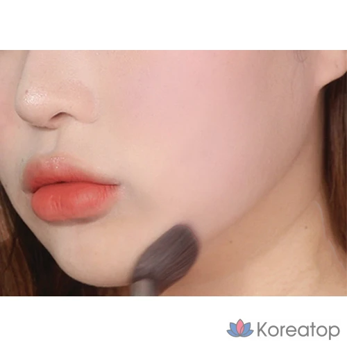 Набор кистей и тонировочных теней Holika Holika Tone Tuning Shading + Brush Set, 01 Cool Ground, 1 шт., фото 6