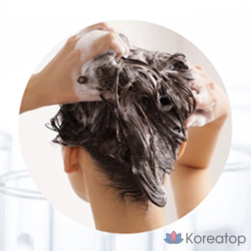 Шампунь Ryo Chouibang Premium для облегчения выпадения волос, 490 мл, 1 шт.