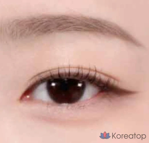 Тени для век Missha Modern Shadow 1,7 г, 1 шт., оттенок Smoked Oak 115, фото 4