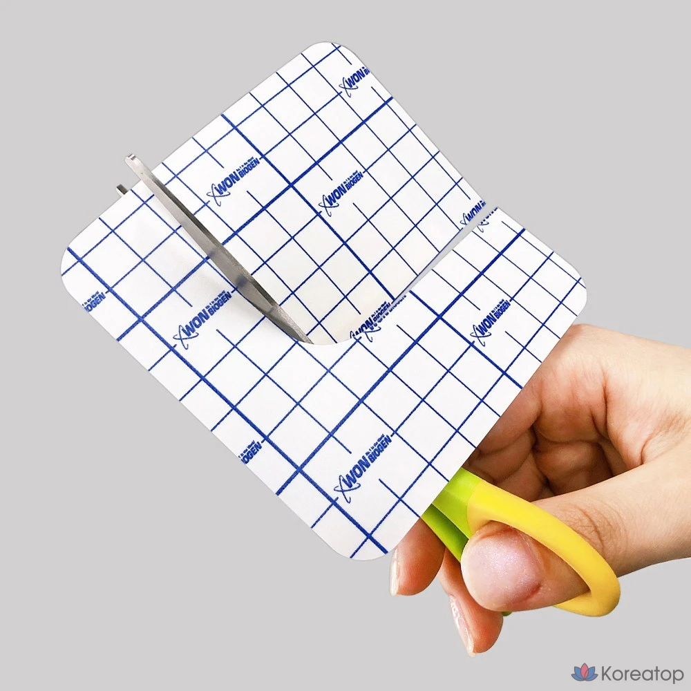 Renoderm Dermal Skin, 10 листов, 1 шт.