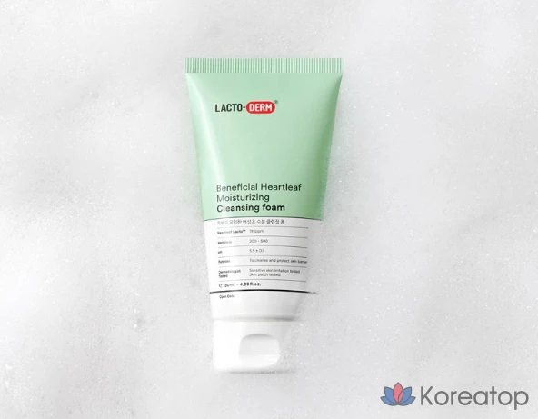 Очищающая пенка для лица Lactoderm Skin-Friendly Asungcho Lacto Moisture Cleansing Foam, 130 мл, 1 шт.
