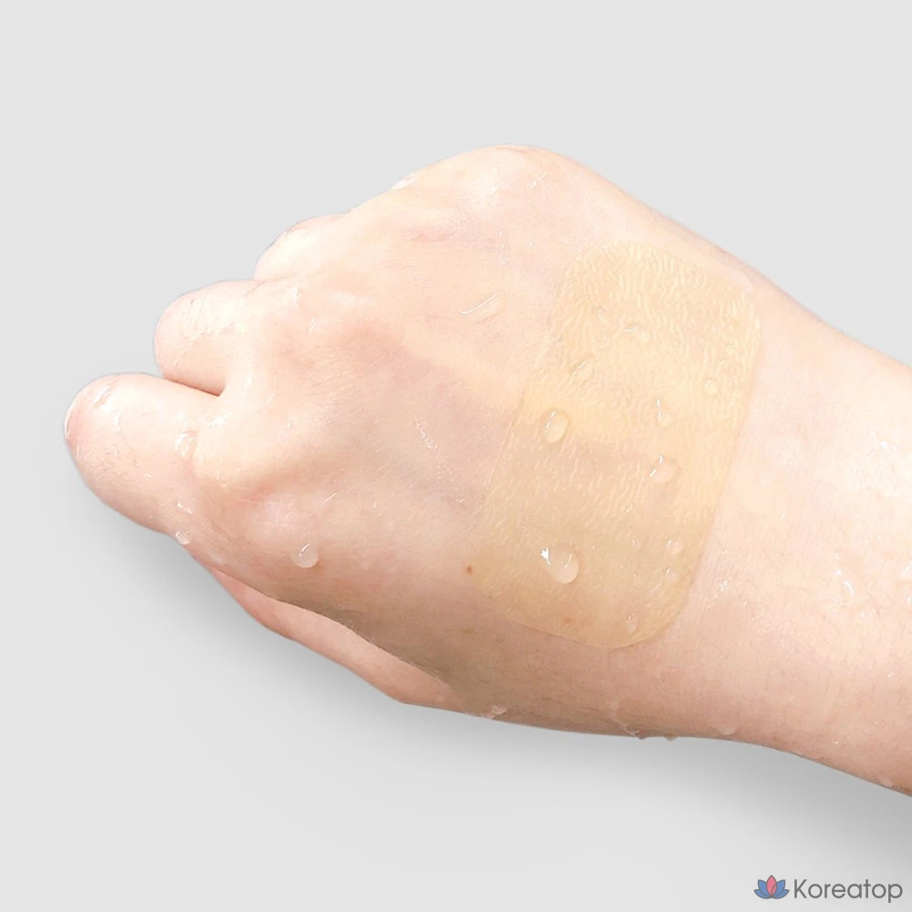 Renoderm Dermal Skin, 10 листов, 1 шт.