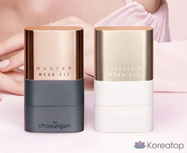 Тональный крем-стик CHOSUNGAH Mega Fit Stick Foundation Master Porcelain SPF50+ PA++++ 16 г, 1 шт., 02W, медово-бежевый., фото 4
