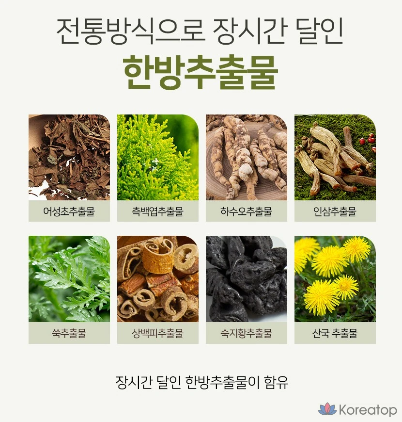 Шампунь Danggi Meori Vitality, 500 мл, 1 шт.