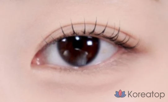 Палетка теней Innisfree Shade Classic, 8,7 г, оттенок № 4, 1 шт., фото 3