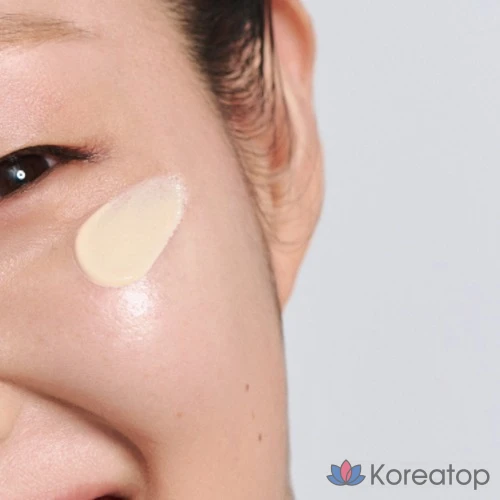 Солнцезащитный крем Innisfree UV Active Poreless Sunscreen SPF50+ PA++++, 50 мл, 1 шт.