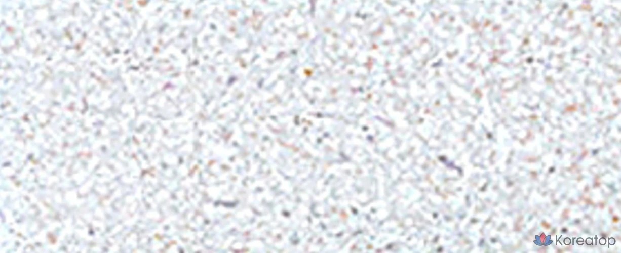 Бальзам для губ и щек A'Pieu Juicy Pang Mood Blending Lip & Cheek Balm 2.3g, 04 бальзама со вкусом ледяной вишни, 1 шт., фото 4