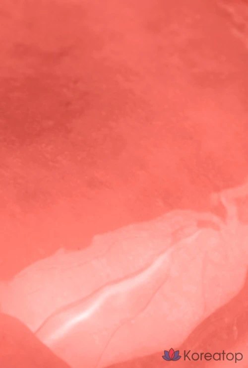 Rom&nd The Juicy Lasting Tint, 10 оттенков, цвет «абрикос», 1 шт., фото 2