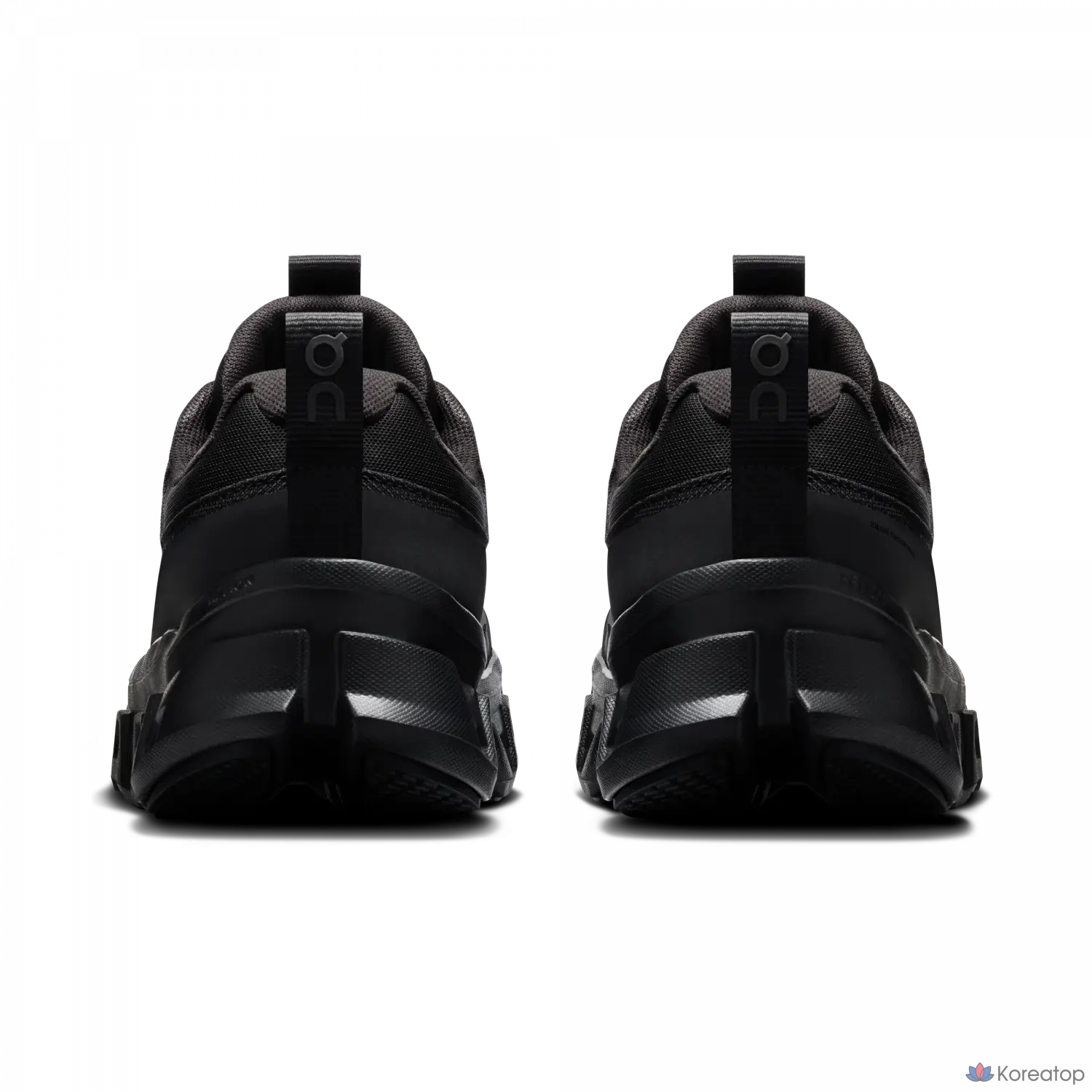 Кроссовки ON Cloudmonster 1 Waterproof