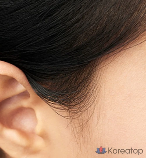 Пуховка для волос The Face Shop Quick Hair Puff 7 г, 04, черная, 1 шт., фото 4