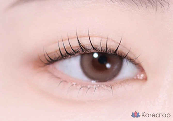 Матовые тени для век The Saem Sammul Single Shadow, WH02 Salgyeolst Vanilla, 1 шт.