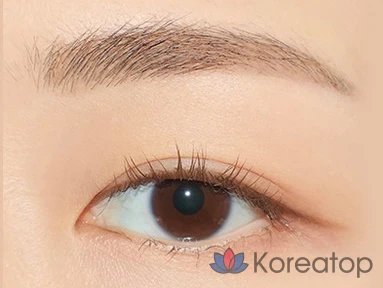 Стойкие карандаши для бровей The Face Shop FMGT Ink Brow Longwear Cara 5.5g, оттенок 01 Light Taupe, 1 шт., фото 4