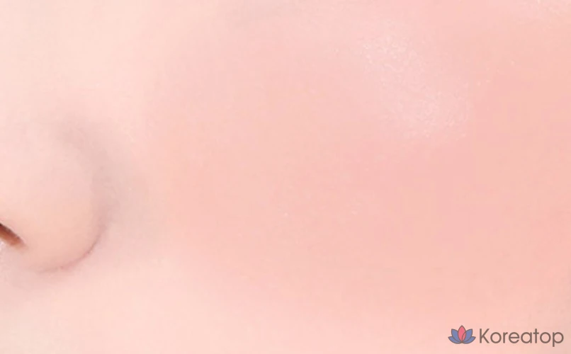 BBIA Ready to Wear Downy Cheek 3.5g, 10 Downy Choco, 1 шт.