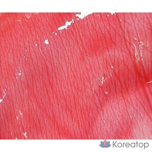 Блеск для губ L'OCEAN Tint Lip Gloss, № 17 Sexy Red, 1 шт., фото 3