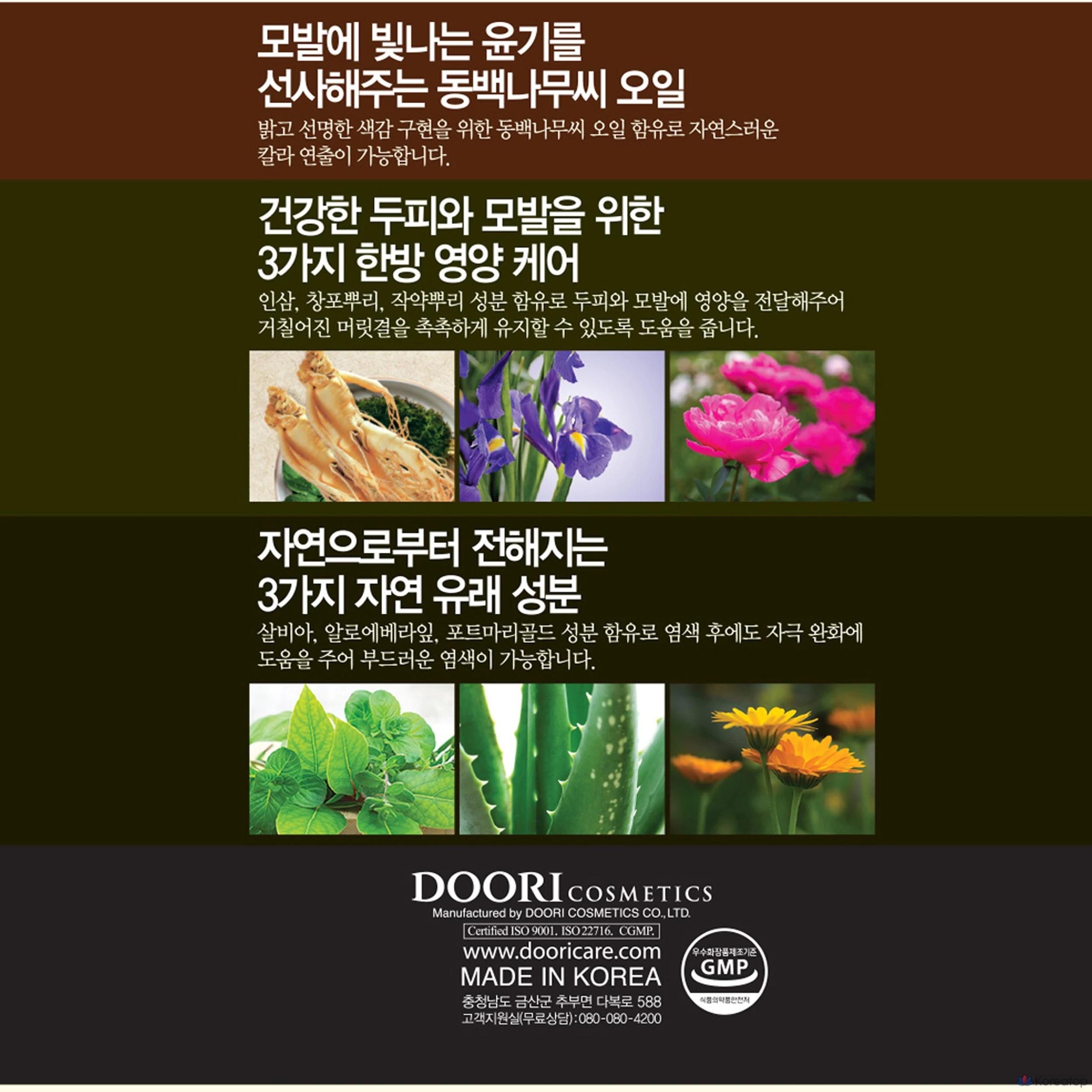 Daenggi Meori Forte Prestige One-Piece Color Cream Dye for Gray Hair No. 6, Black Brown, 1 ea.