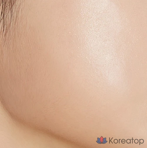 Набор кистей для растушевки теней Etude House Shadow Shading Relighting 5 г (2 вида) + набор кистей для растушевки подбородка: Light On + Tone & Tone, 6 комплектов., фото 9