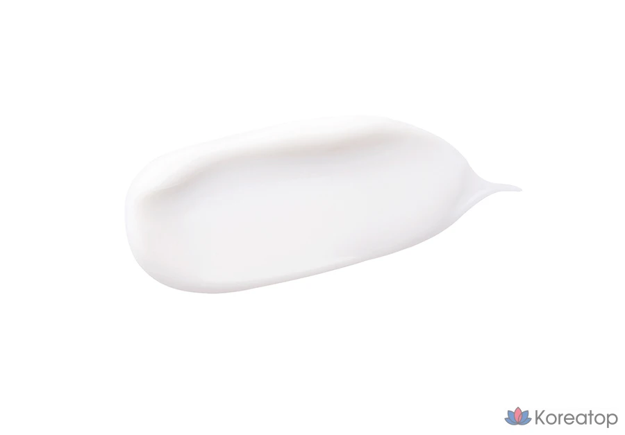 Увлажняющий крем с гиалуроновой кислотой Isntree, 100 мл, 1 шт.