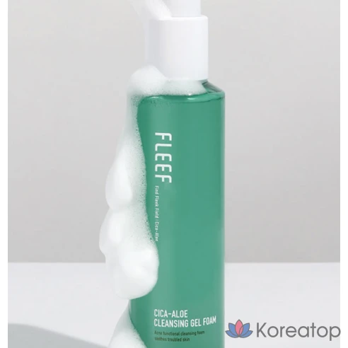 Очищающий гель-пенка Vegan Beauty Flip Cica Aloe