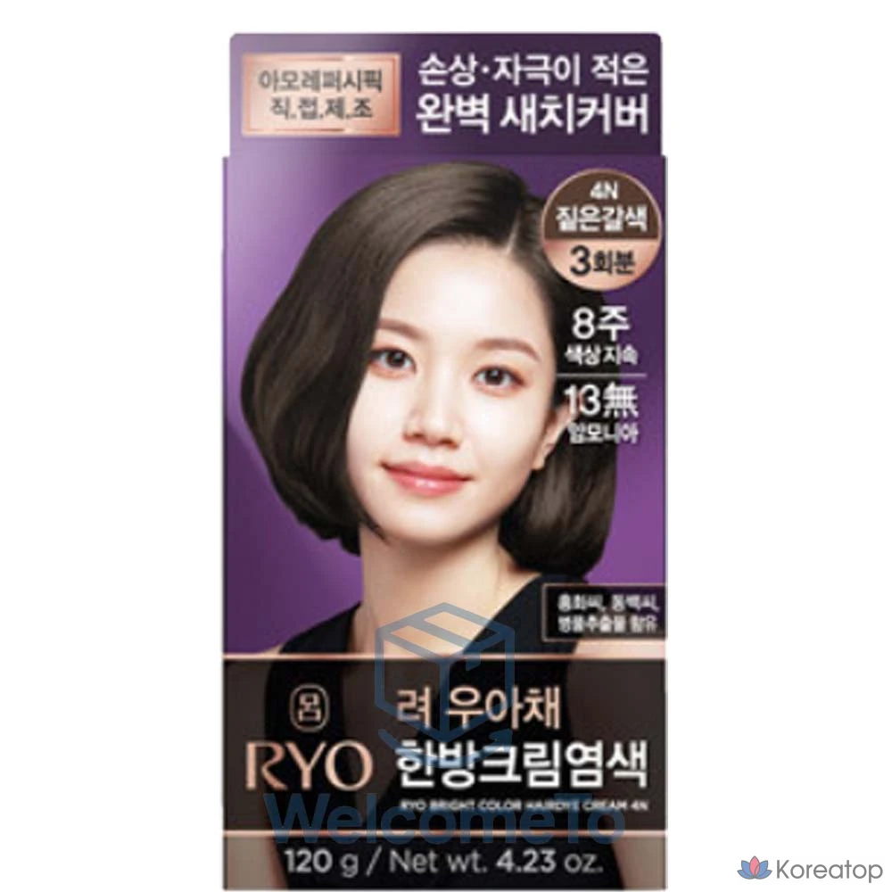 Крем для волос Ryo Wooacheon Style Cream 6 Colors Hair Color, оттенок Dark Brown 4N, 1 шт.