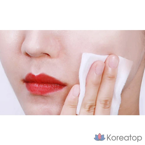 The Saem Средство для снятия макияжа с глаз и губ Healing Tea Garden Green Tea Lip &amp; eye Remover, 500 мл, 2 шт