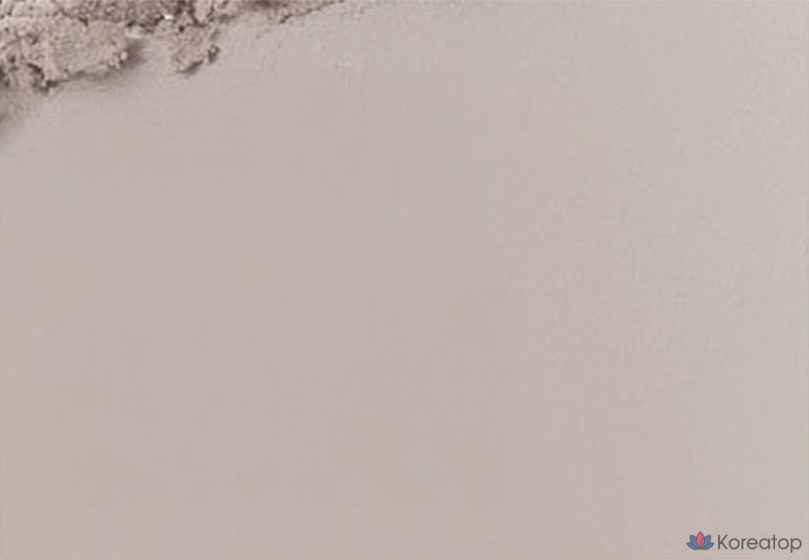 BBIA Last Blush, 4 г, 1 шт., 12 оттенков серого, фото 2