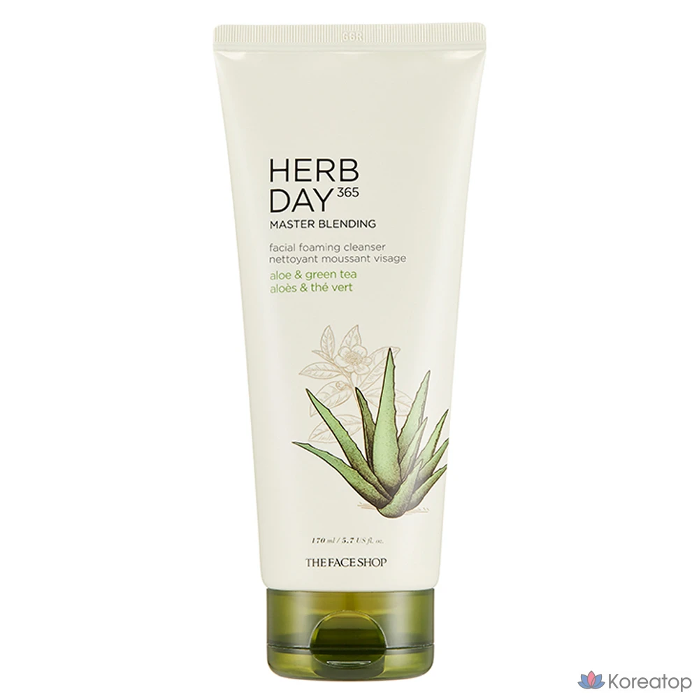 Очищающая пенка для лица The Face Shop Herb Day 365 Master Blending с алоэ и зеленым чаем, 170 мл, 1 шт.