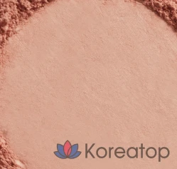 Румяна для лица Rom & Inapis Square Berer Dan Cheek Fact, 4 г, B01 