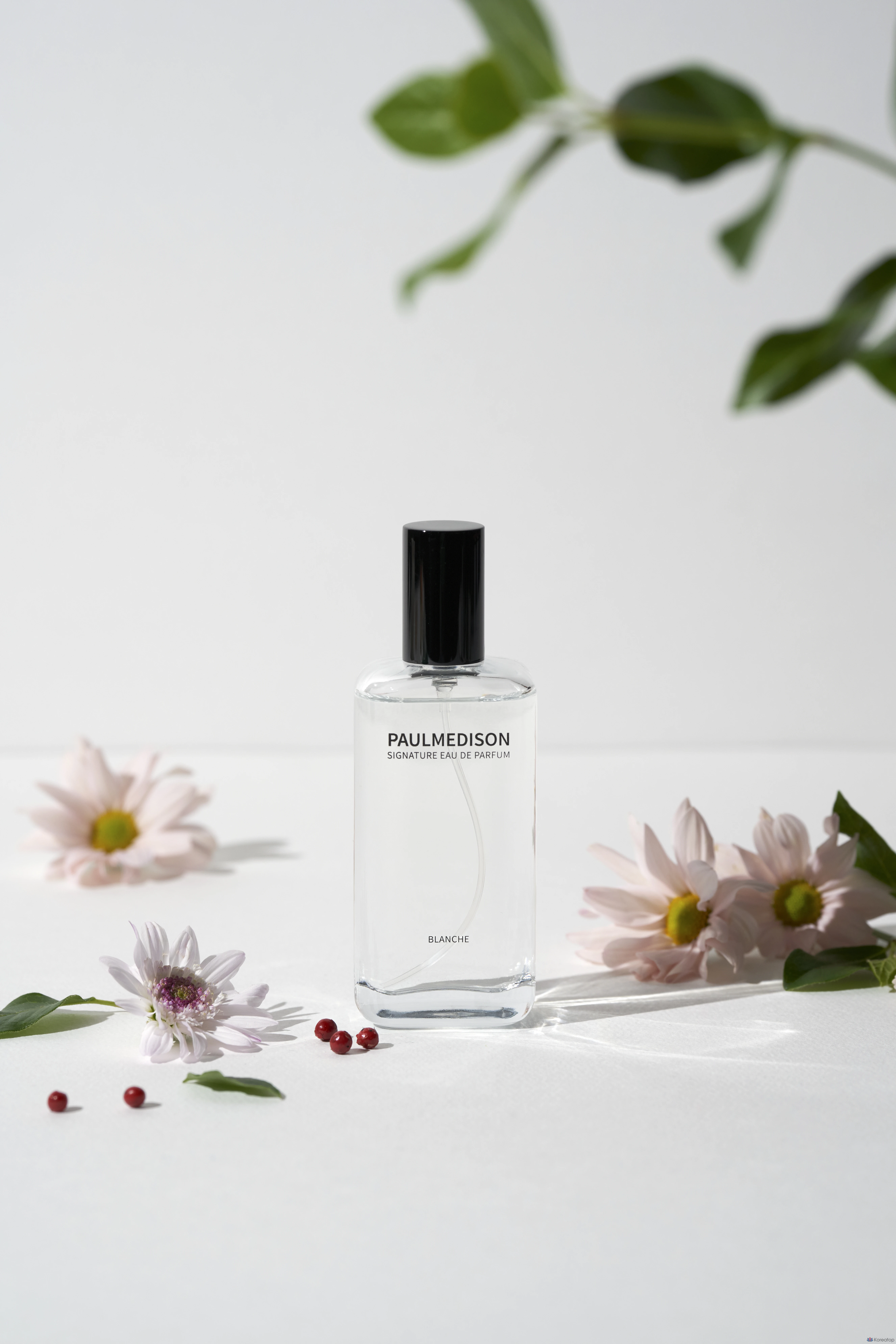 Polmedison Signature Blanche Eau de Parfum, 50 мл, 1 флакон