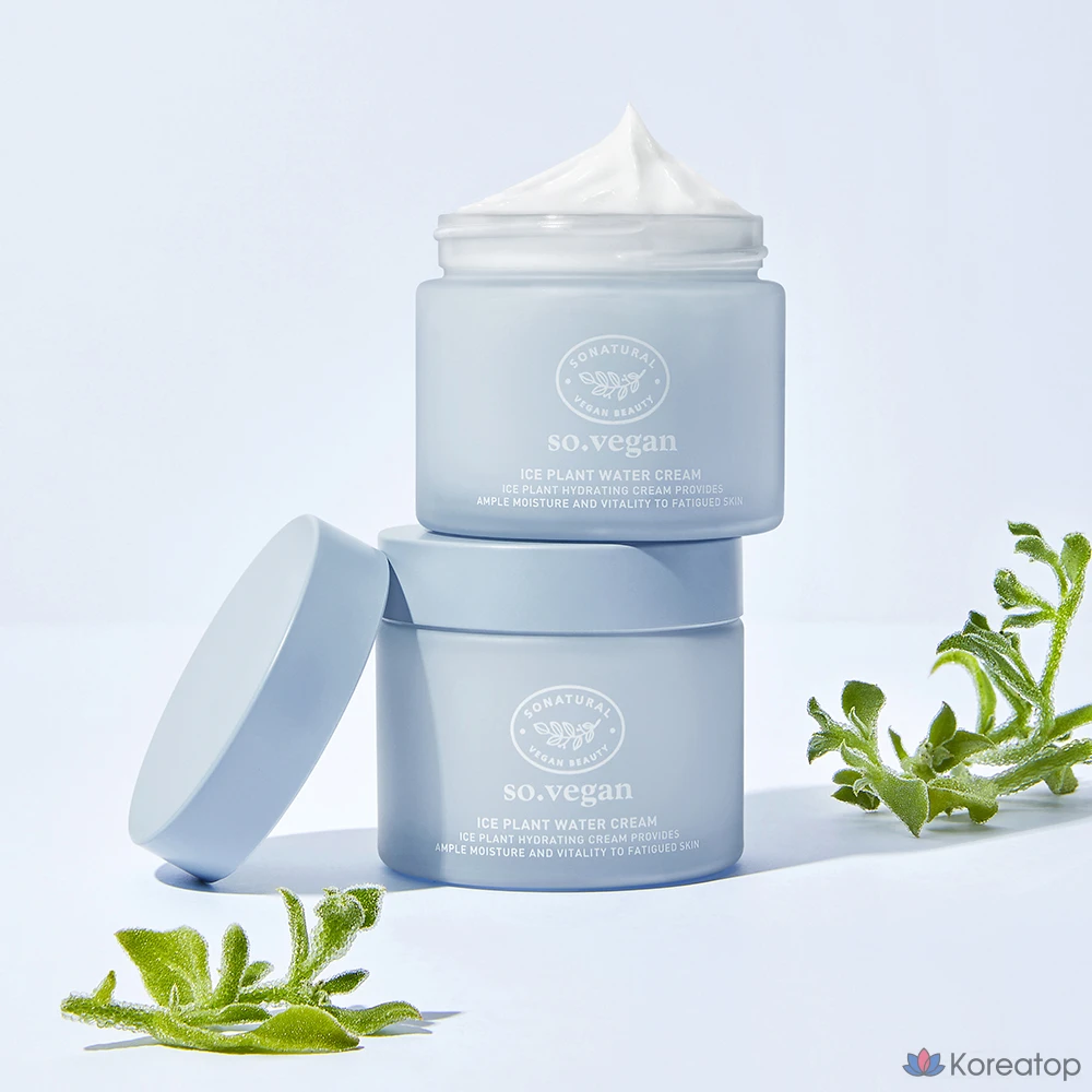 Натуральный веганский крем-мороженое So Natural So Vegan Ice Plant Water Cream, 70 мл, 1 шт.