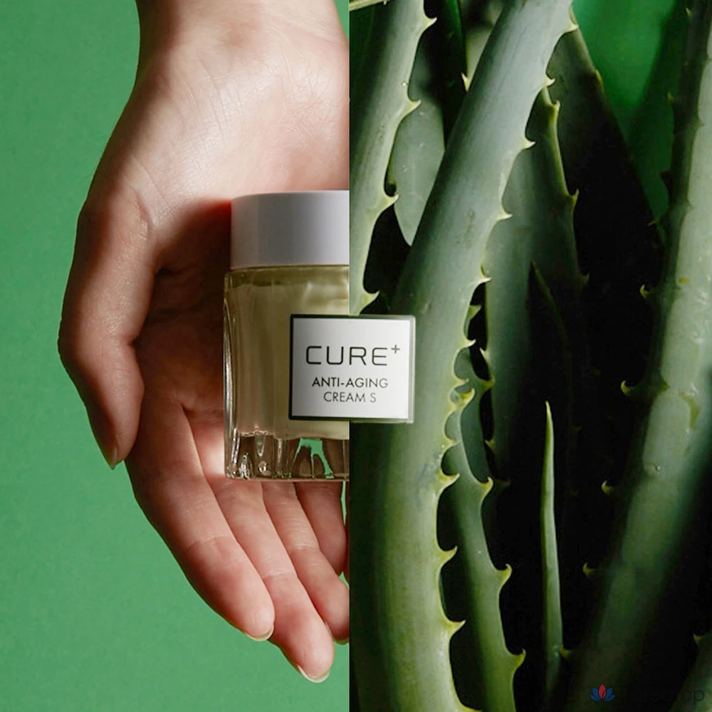 Крем для лица KIM JEONG MOON Aloe Cure Anti-Aging Wrinkle-Improving Elasticity Cream, S Brown Edition, 50 г, 1 шт.