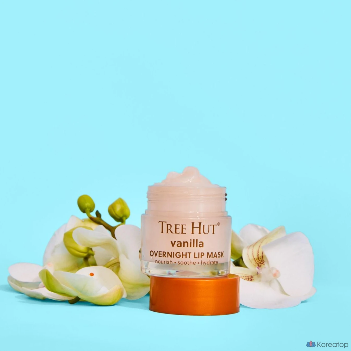 Ночная маска для губ Burt's Bees, ваниль, 17 г, 2 шт., фото 3