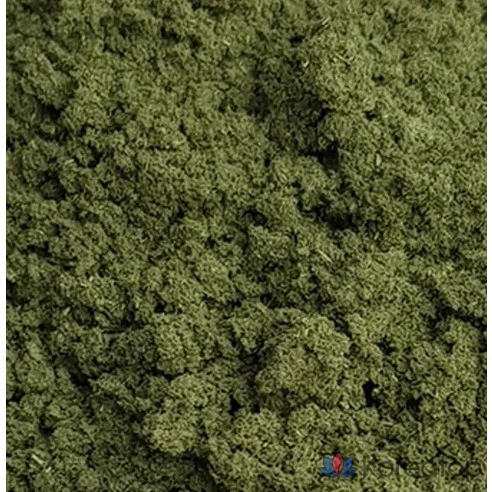 Порошок полыни обыкновенной Gomine Fine Mugwort, 300 г