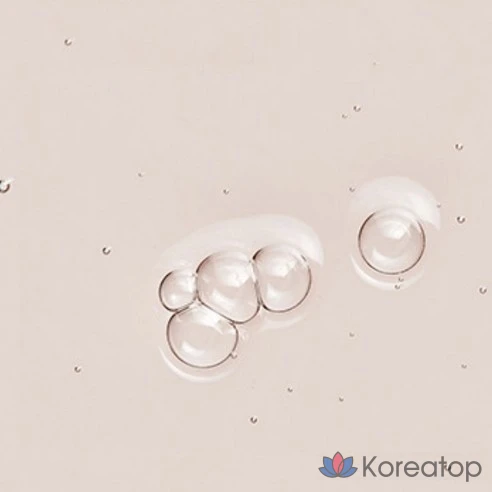 АНС Тонер гамамелиса для жирной кожи (500мл) Herb Solution Toner