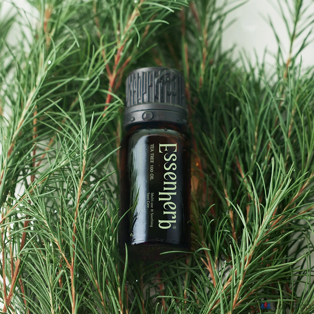 Масло чайного дерева EssenHerb 100%, 10 мл, 1 шт., фото 3
