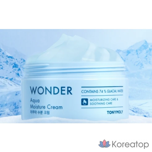 Увлажняющий крем Tony Moly Wonder Aqua Moisture Cream 300 мл