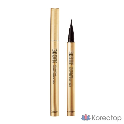 Подводка для глаз Coreana Ten Seconds Brush Liner № 01, черная, 1 шт.