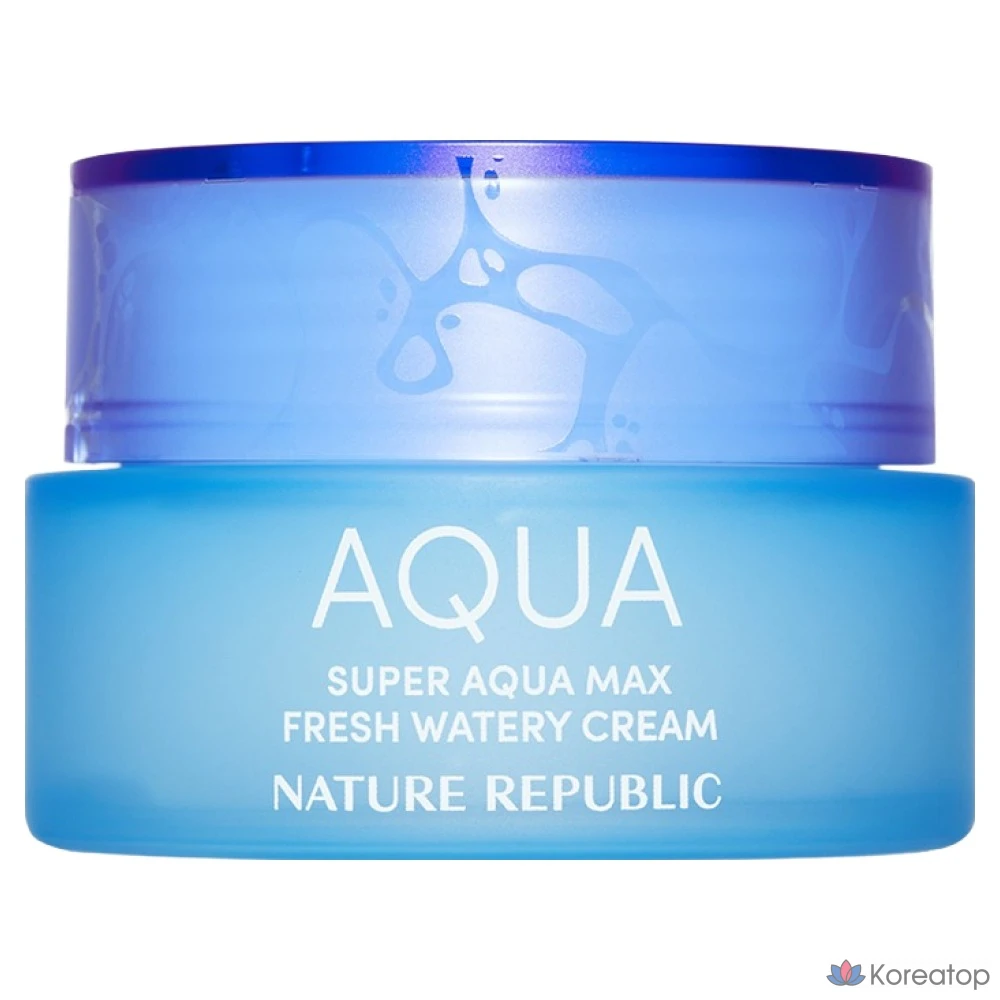 Увлажняющий крем Nature Republic Super Aqua Max Fresh для жирной кожи, 80 мл, 1 шт.
