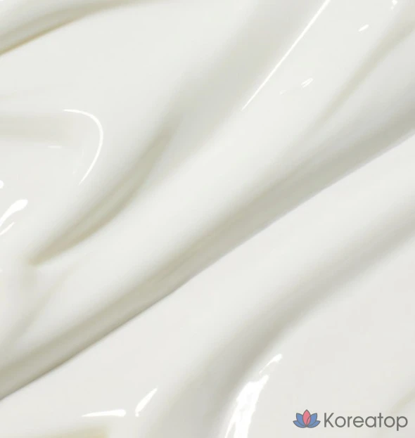 Увлажняющий солнцезащитный крем Innisfree с гиалуроновой кислотой SPF50+ PA++++, 50 мл, 1 шт.