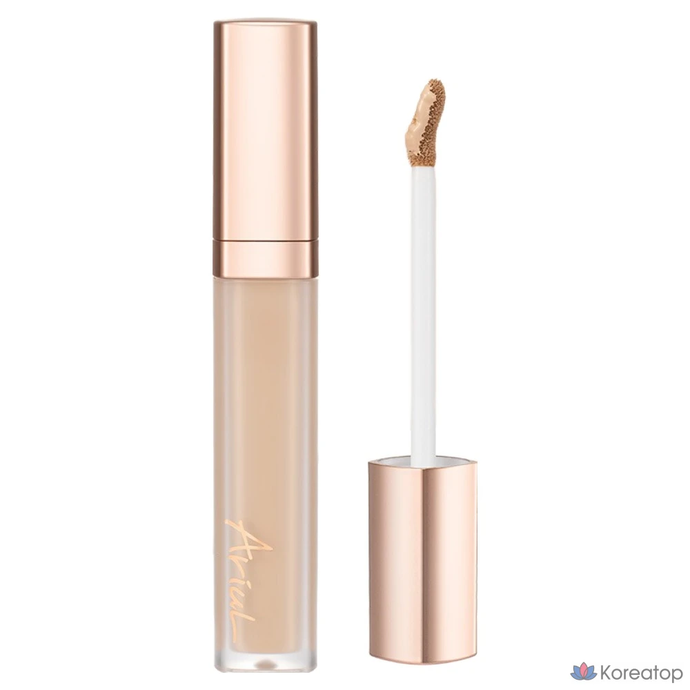 Консилер Ariel Ink Feeder Perfect Fit, 6,5 г, 1 шт., цвет 01 Ваниль