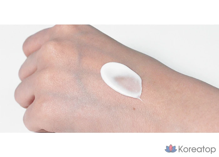 Увлажняющий крем с гиалуроновой кислотой Isntree, 100 мл, 1 шт.