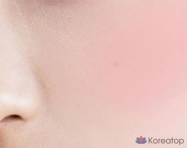 BBIA Last Blush, 4 г, 1 шт., цвет лилий коралловый, фото 2