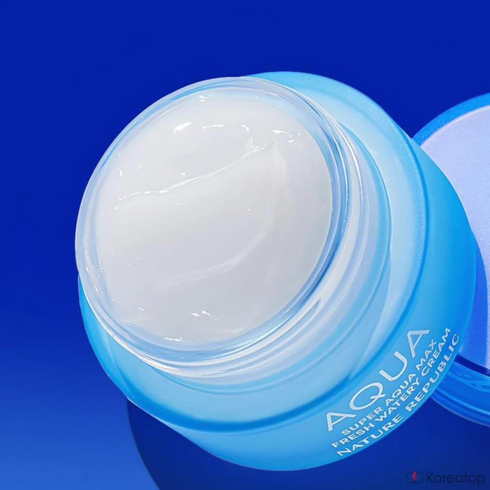 Увлажняющий крем Nature Republic Super Aqua Max Fresh для жирной кожи, 80 мл, 1 шт.