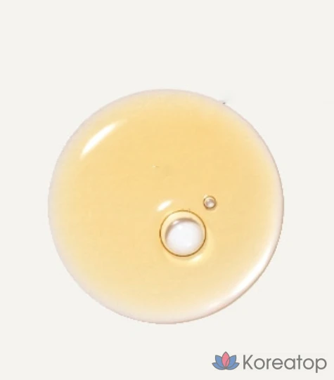 Эссенция для омоложения кожи с черным чаем Innisfree, 145 мл, 1 шт., фото 7