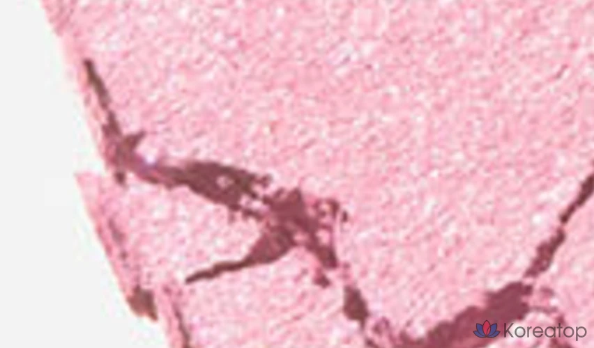 Holika Тени для век Holika My Fave Piece, пачка Таро, 1 штука, фото 3