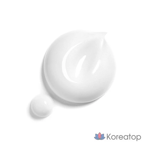 Дорожный набор для ухода за волосами и телом Pyungangyul, 4 предмета, 6 комплектов, фото 3