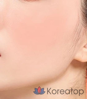 BBIA Ready to Wear Downy Cheek 3.5g, 05 Downy Coral, 1 шт., фото 4