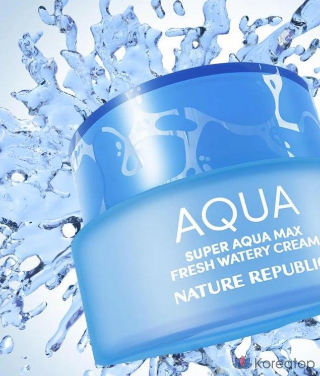 Увлажняющий крем Nature Republic Super Aqua Max Fresh для жирной кожи, 80 мл, 1 шт.