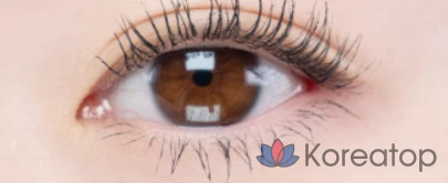 Тушь для ресниц Innisfree Simple Label Volume & Curl, 7,5 г, 1 шт., фото 2